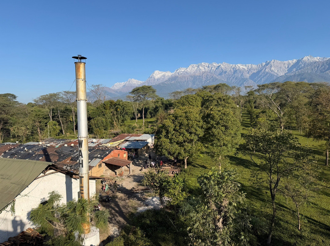 The Lodge at Wah, Palampur主图