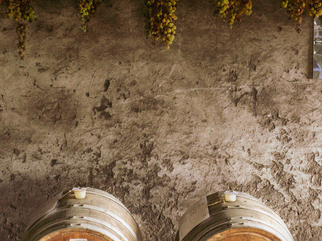 Cantina Giovanni Menti-Gambellara必去景点