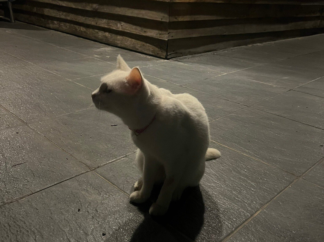 Rai Pluk Rak Thai Organic Farm