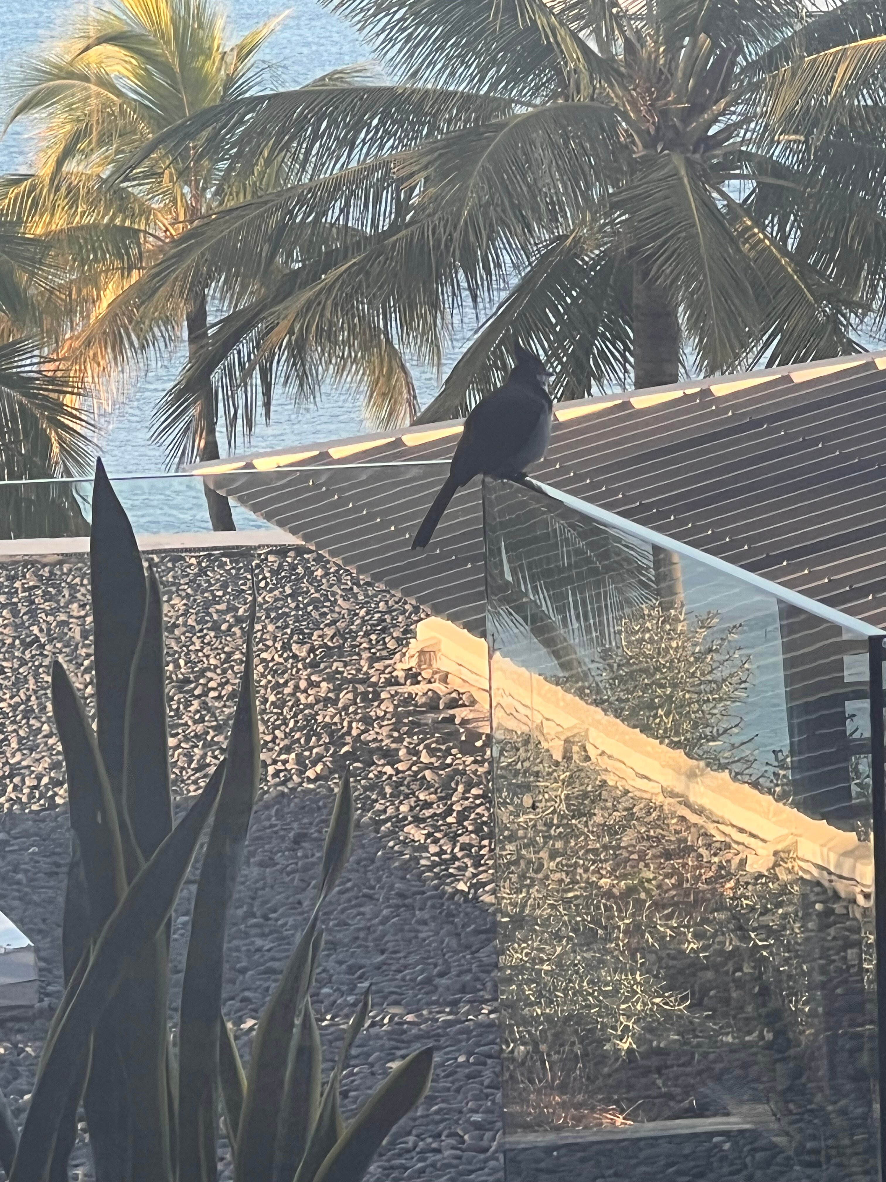 美唯度假酒店-官方