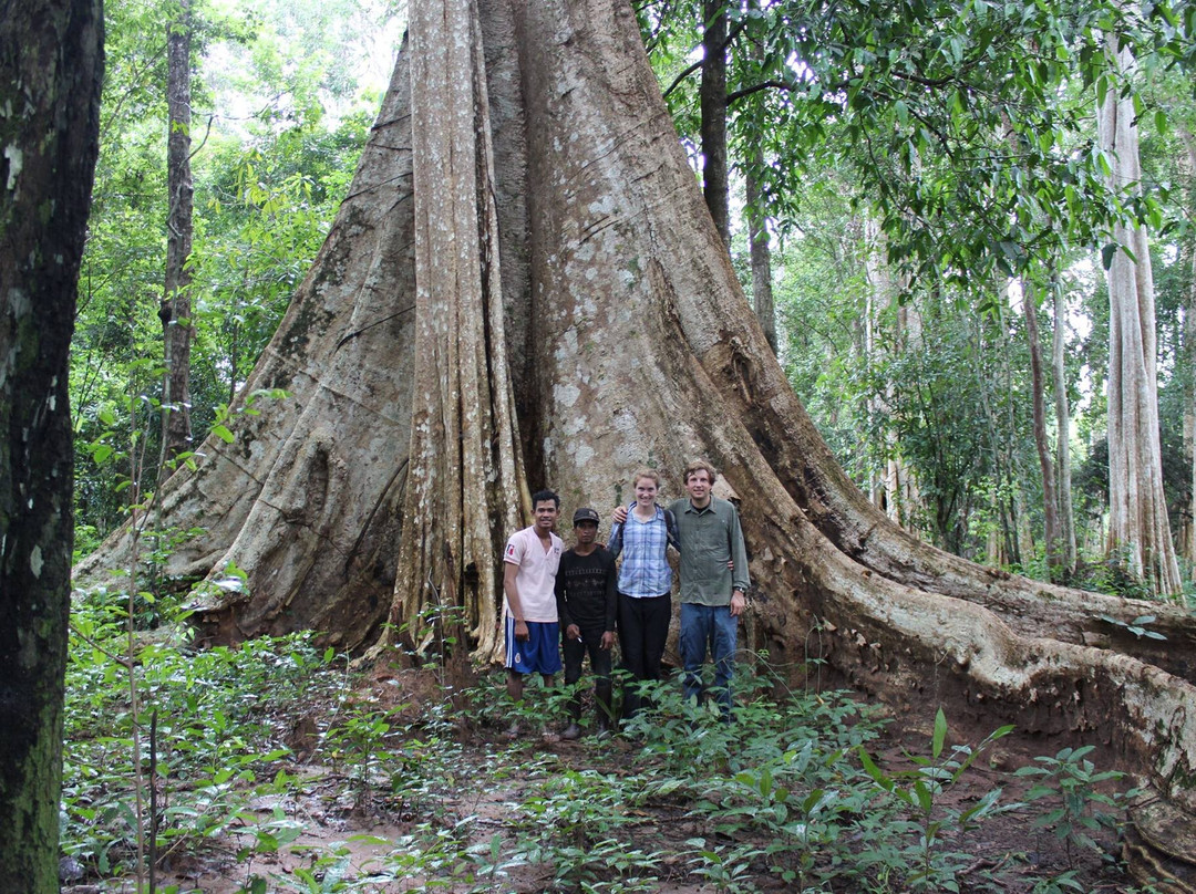 Ratanakiri Jungle Tours-邦隆必去景点