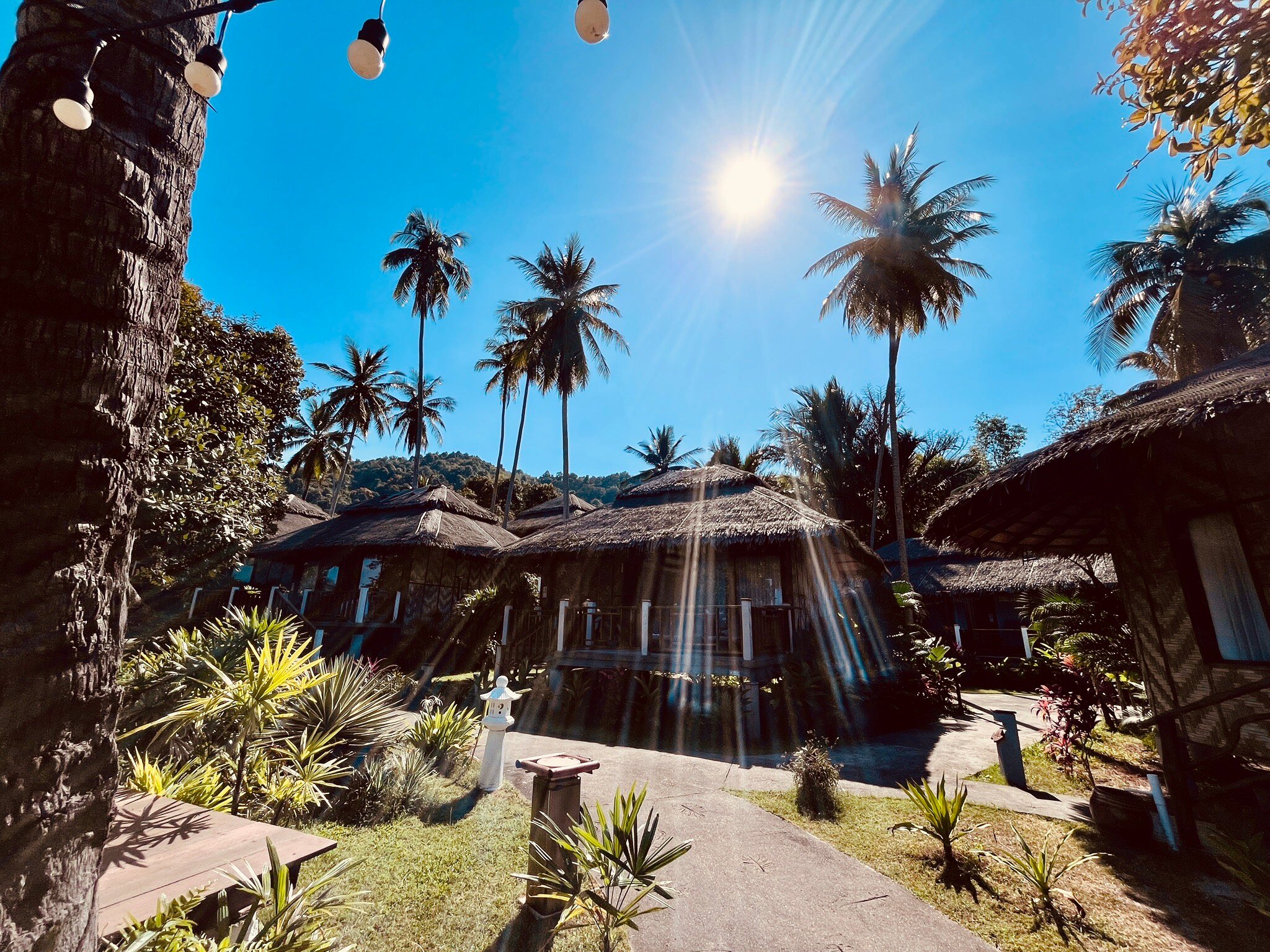 Better View Resort-官方