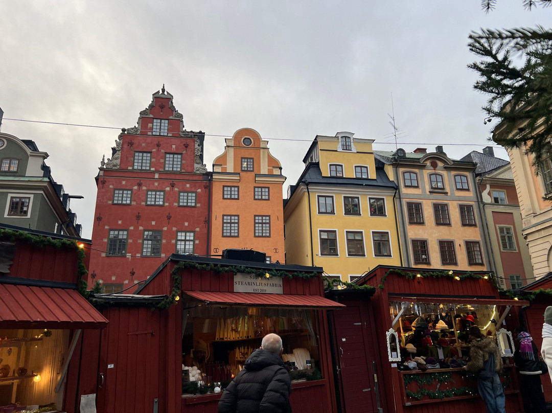 Stoccolma con Mary - visite guidate-斯德哥尔摩必去景点