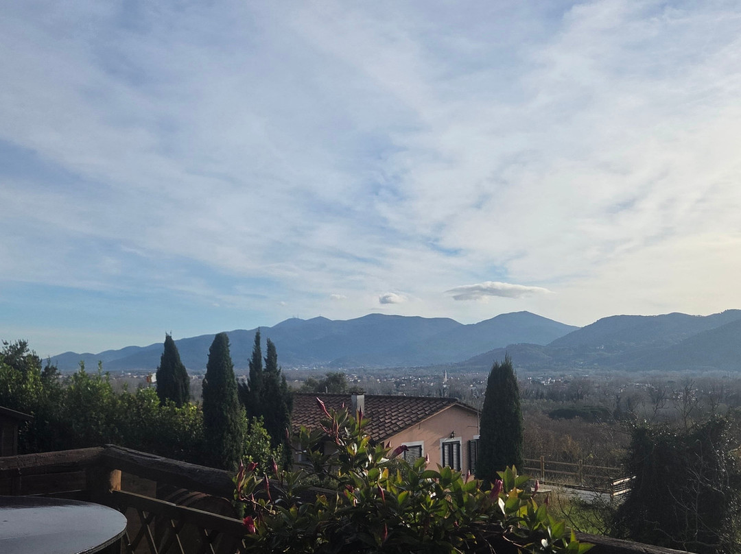 Fattoria Al Dotto-卢卡必去景点