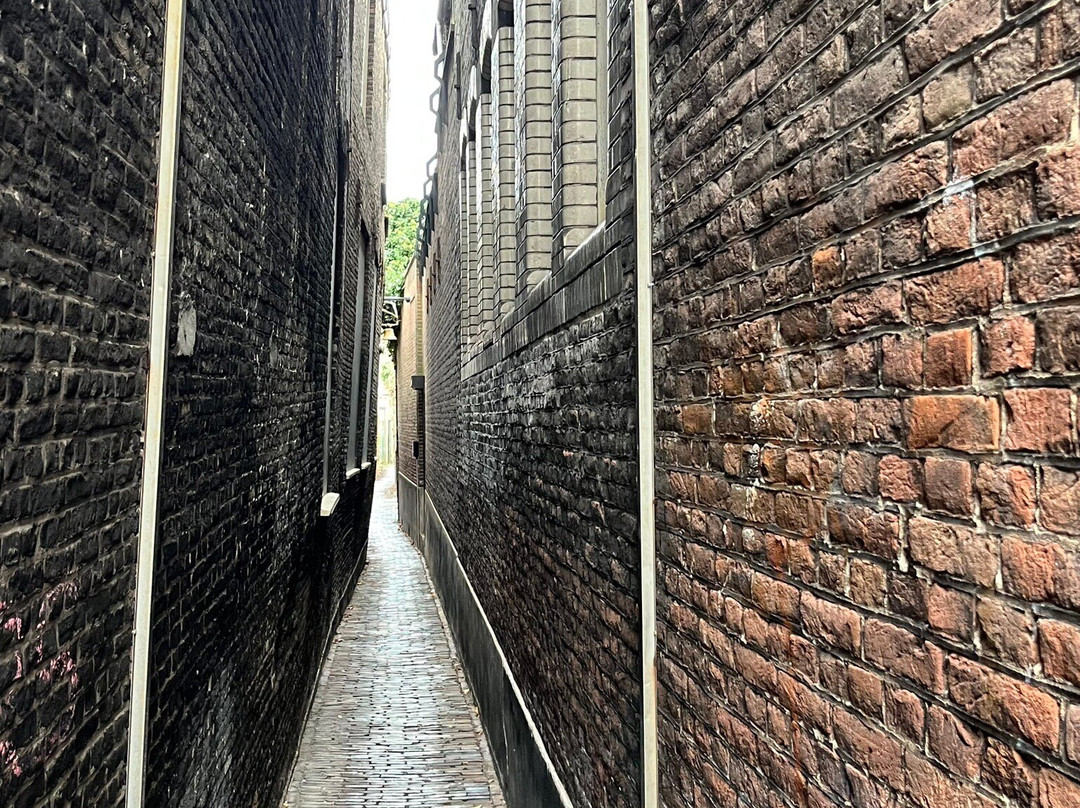 Stadswandelingen Gilde Dordrecht-多德雷赫特必去景点