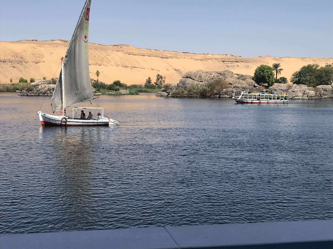 La Toupie Voyageuse-里昂必去景点