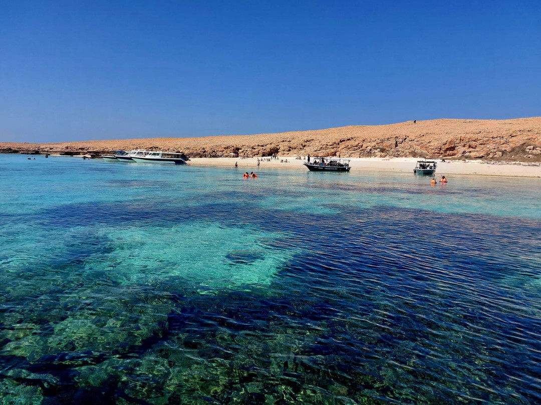 Desert Camels Adventure Tours-尼日瓦必去景点