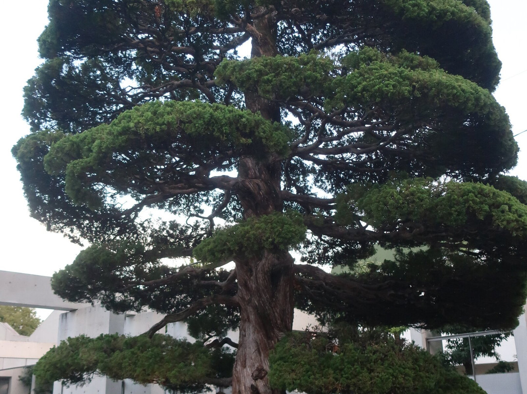 Chuya Nakahara Memorial Museum-山口市必去景点