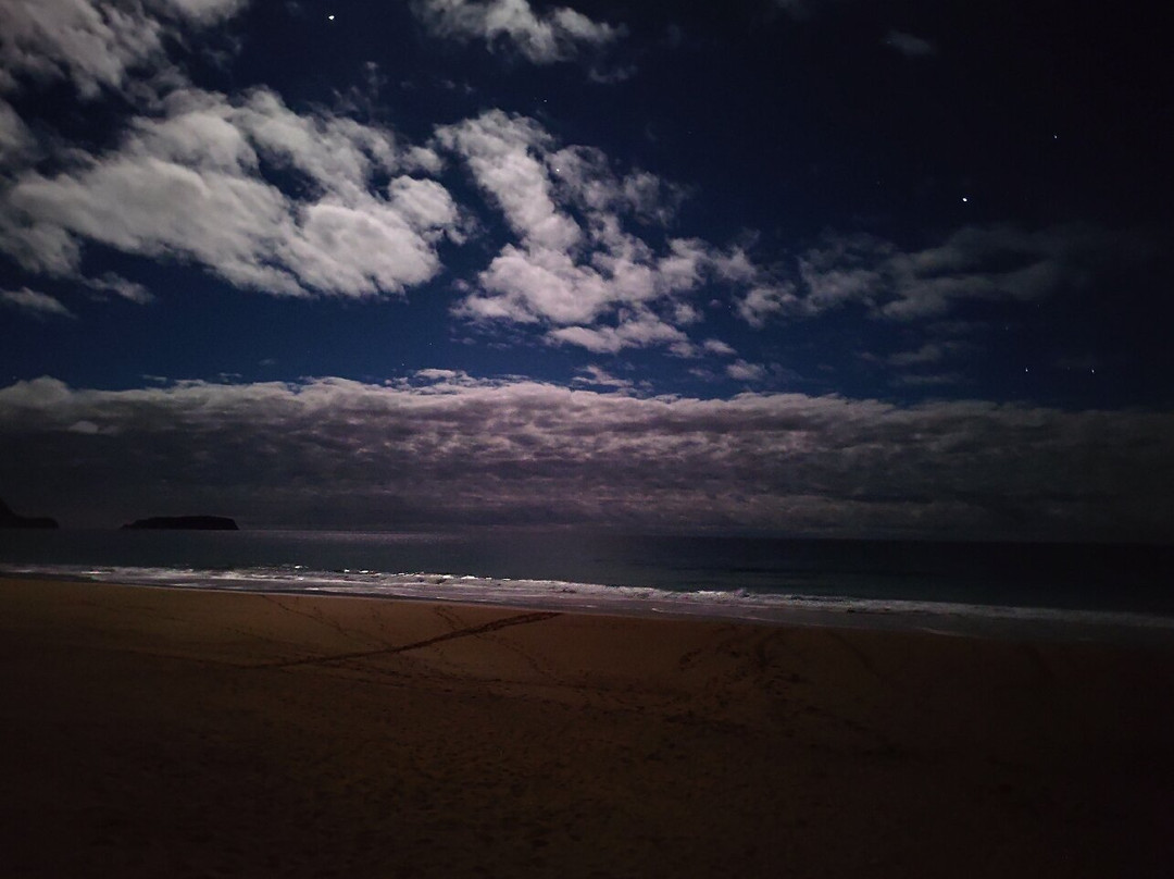 The Navigator - Colombus All Inclusive