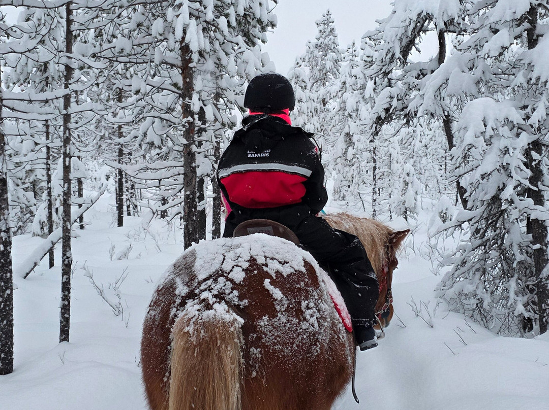 Lapin Saaga Icelandic Horse Stable in Levi-Sirkka必去景点