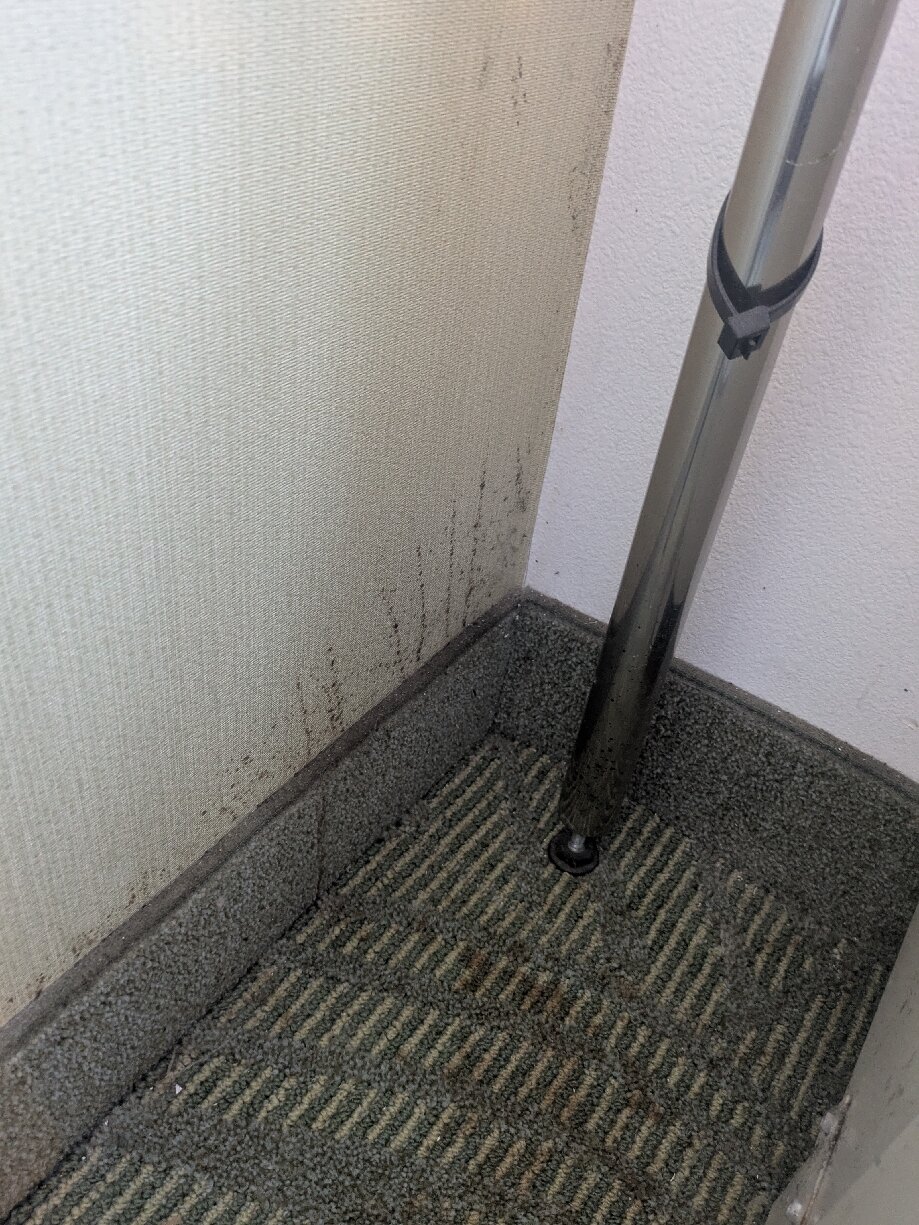 SpringHill Suites by Marriott Bellingham-官方