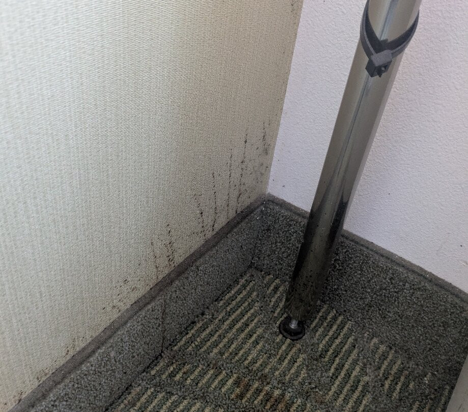 SpringHill Suites by Marriott Bellingham主图