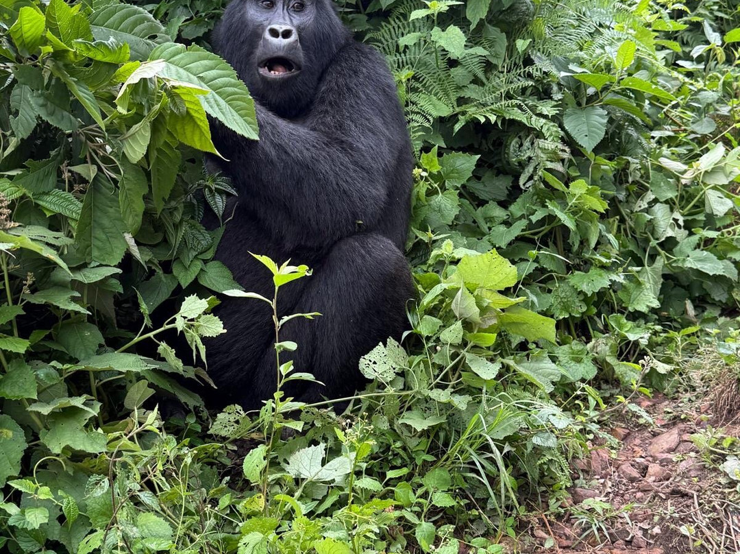 Walking Connection Adventure Travel-格兰岱尔必去景点
