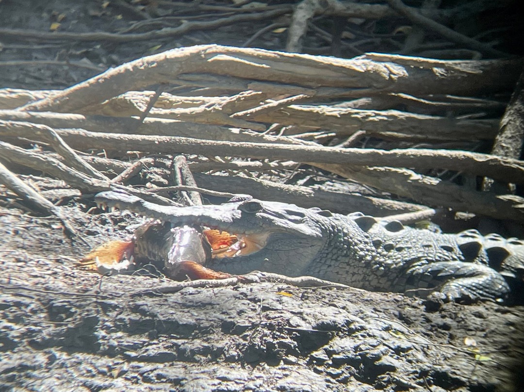 Hacienda El Viejo Wetlands-Area de Conservacion Guanacaste必去景点