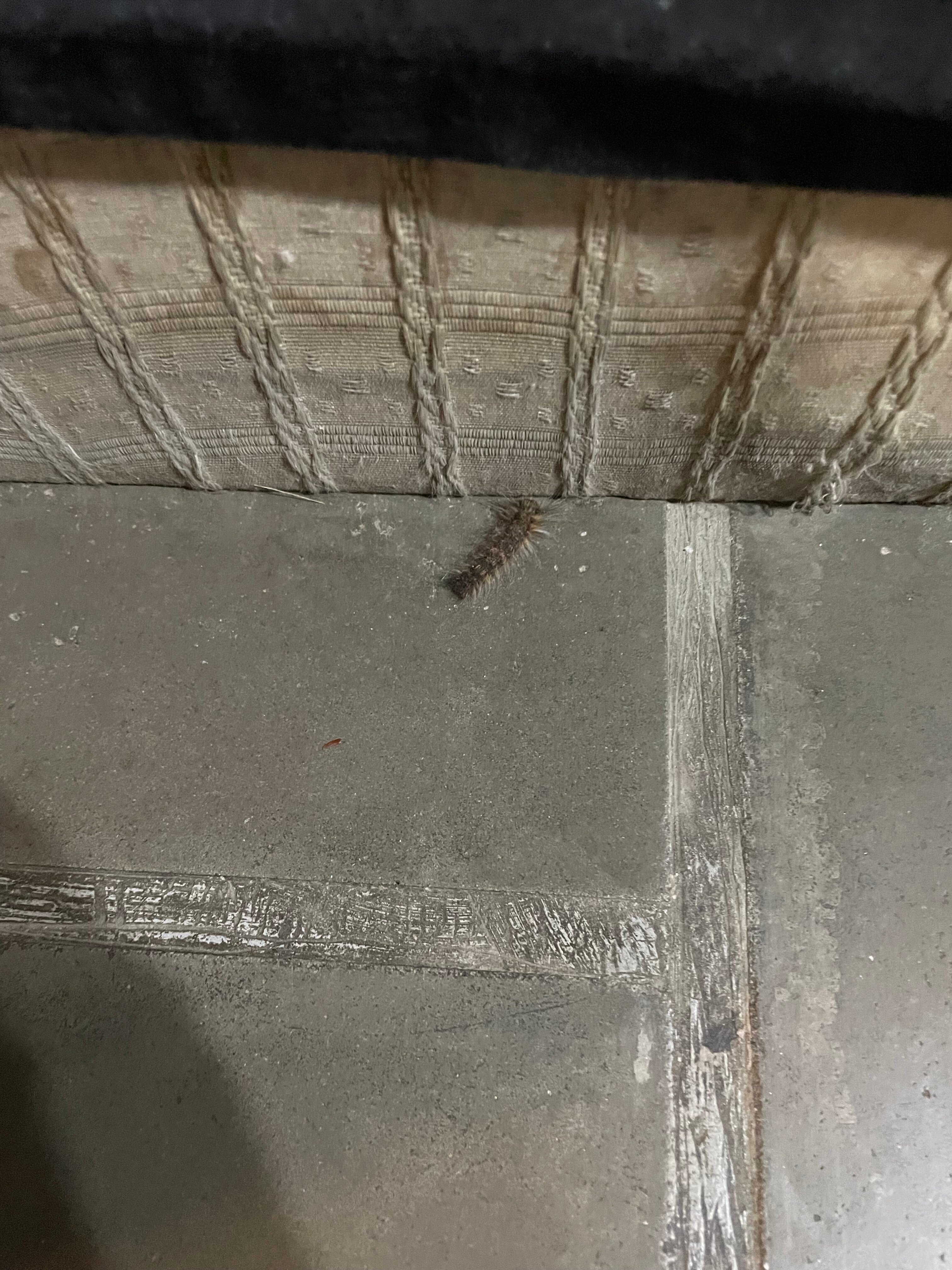 Bhawal Resort & Spa-官方