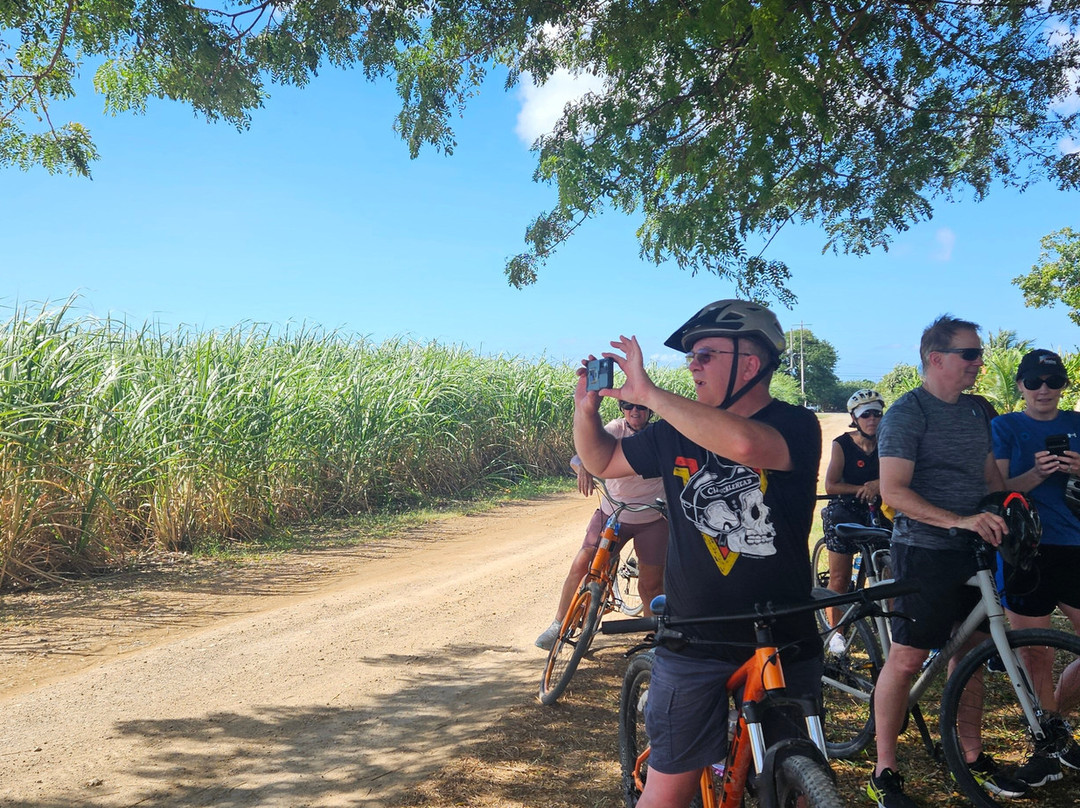 Island Life Adventures-Frederiksted必去景点