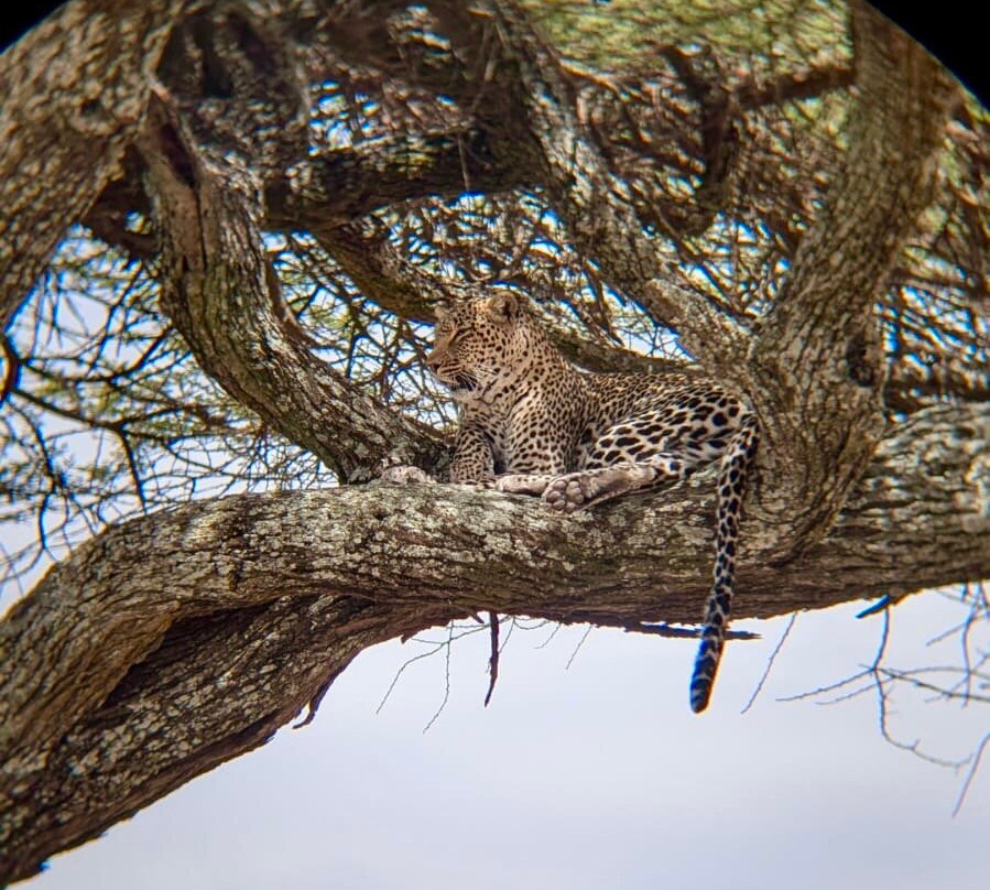 Unlimited Expeditions - The Soul Of Tanzania-阿鲁沙必去景点
