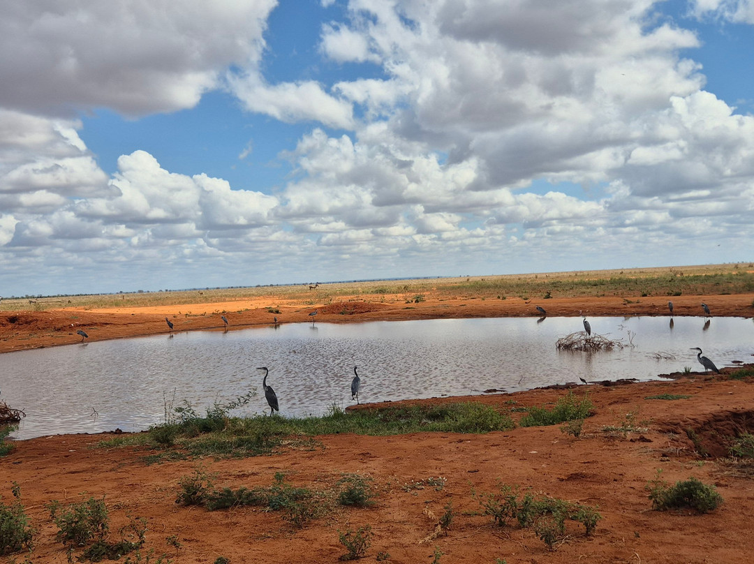 Ombre Tours & Safaris-瓦塔木必去景点