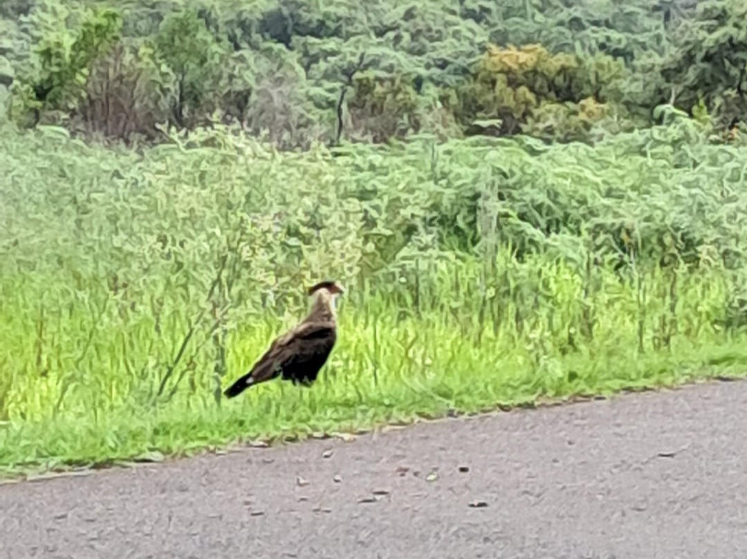 Parque Estadual de Vila Velha-Ponta Grossa必去景点