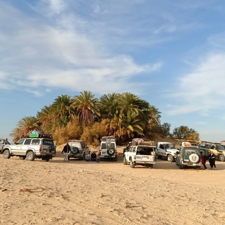 Bahariya Oasis Desert-Bahariya Oasis必去景点