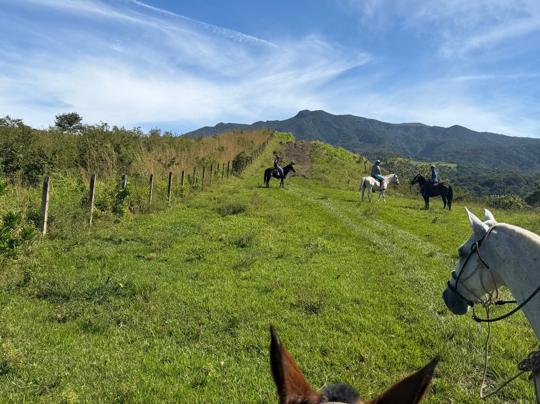 NexusTours-圣何塞必去景点