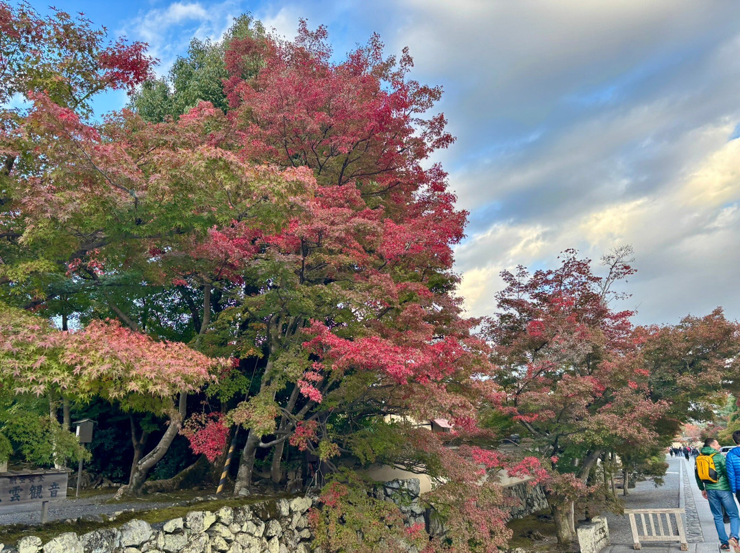 Manyo Botanical Garden-奈良市必去景点