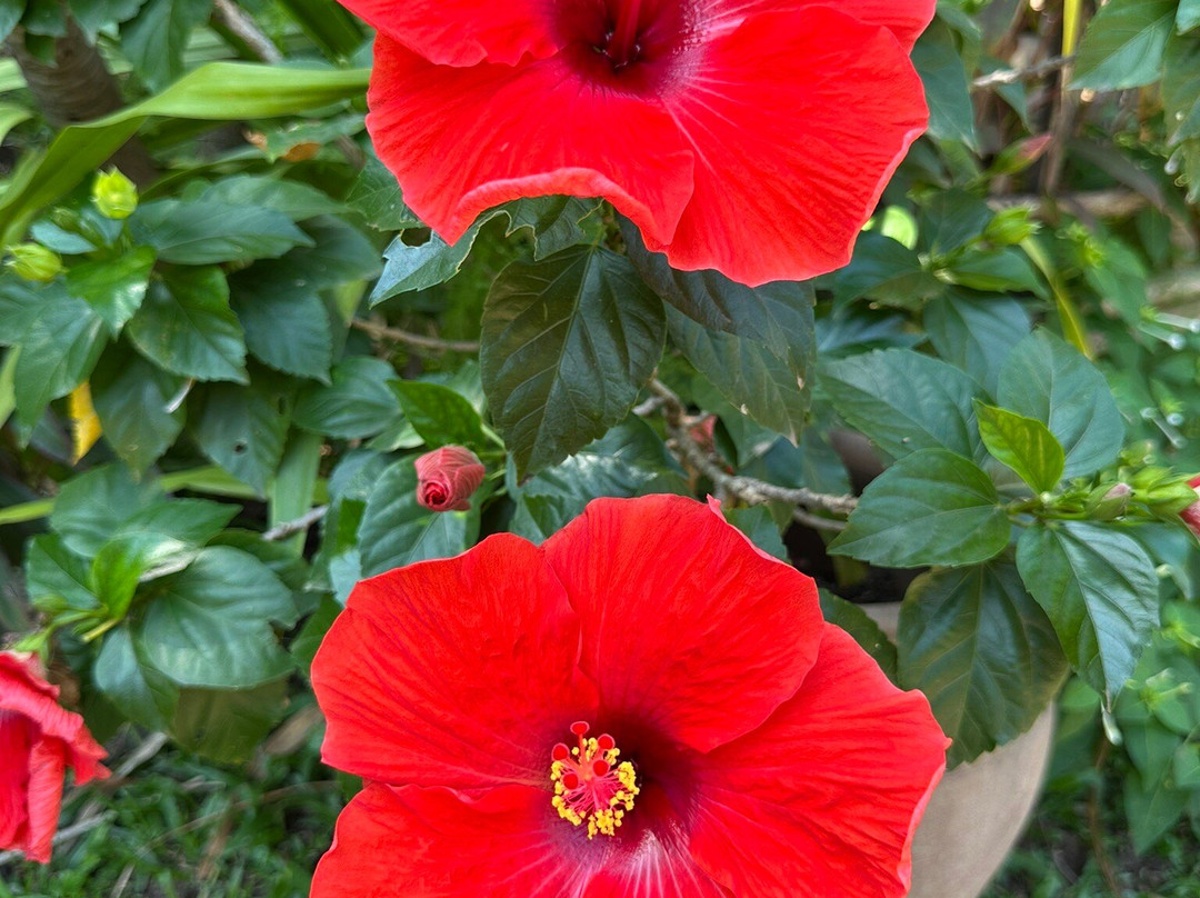 Lao Textile Museum-万象必去景点