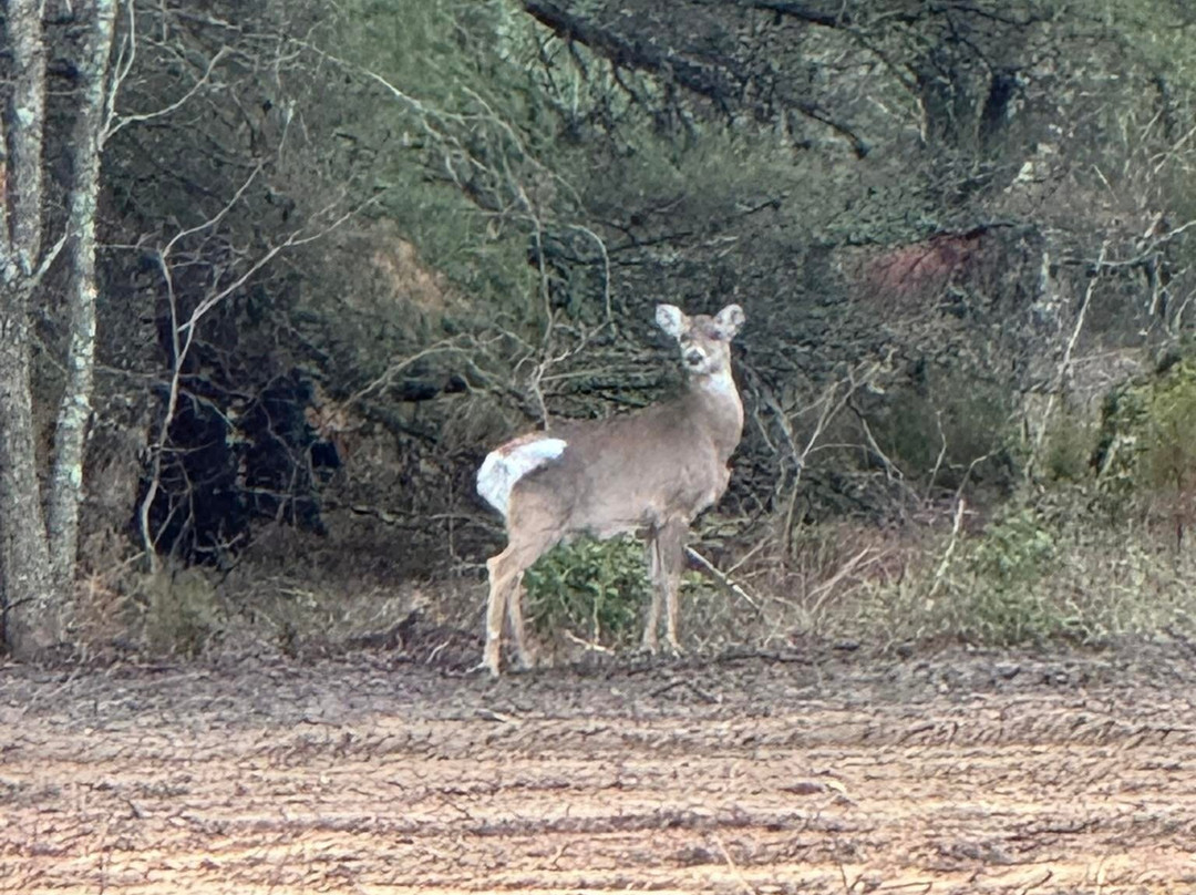 Maurice River Bluffs  Nature Preserve-Millville必去景点