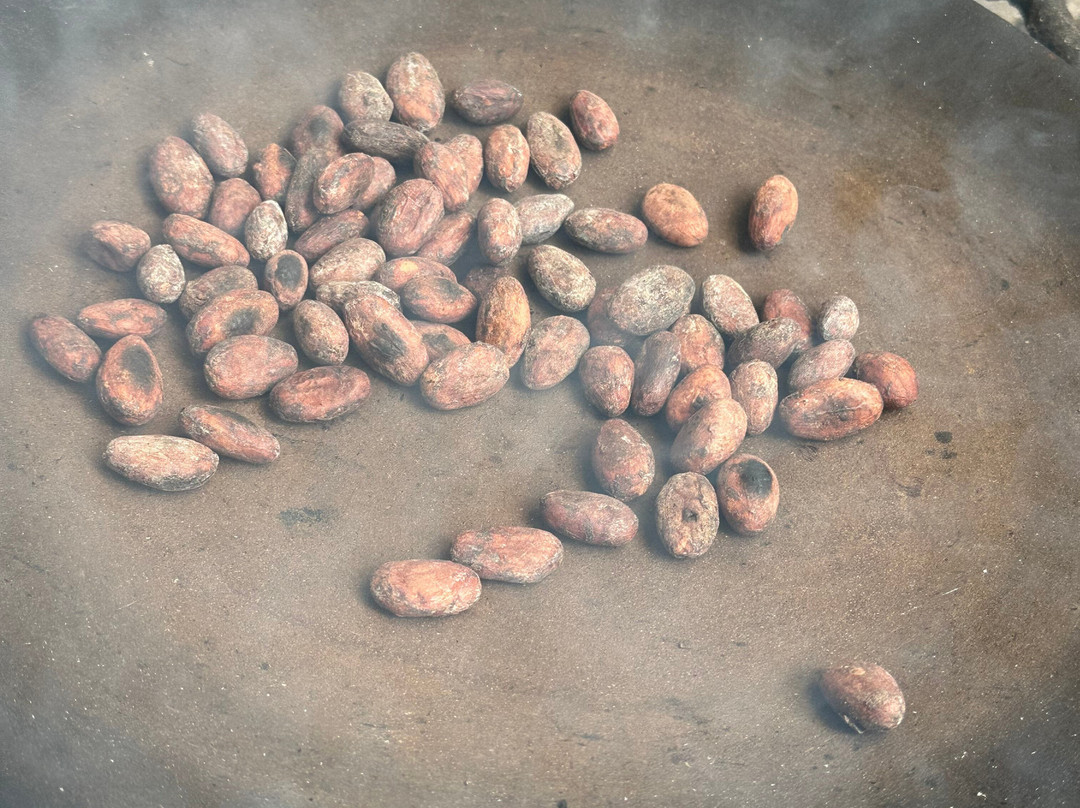 Mindo Maya Chocolate-明多必去景点