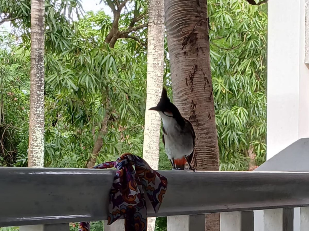 蒙舒瓦西海滩度假村主图