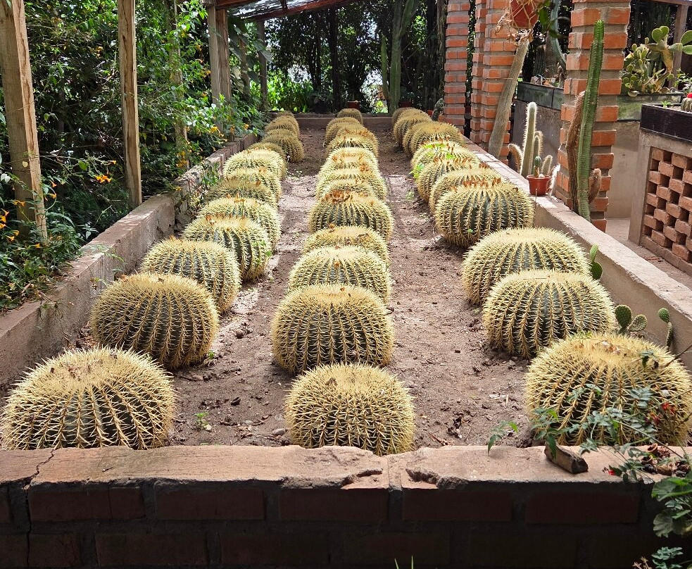 Jardin Botanico Pisac-Pisac必去景点