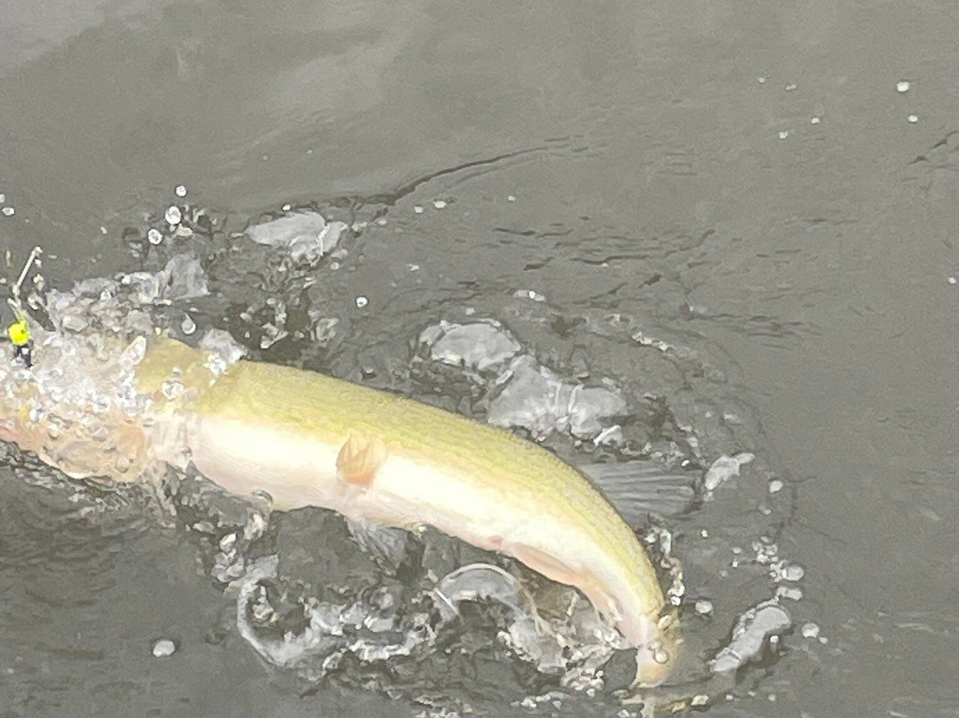 Echo Lake Park-里士满必去景点