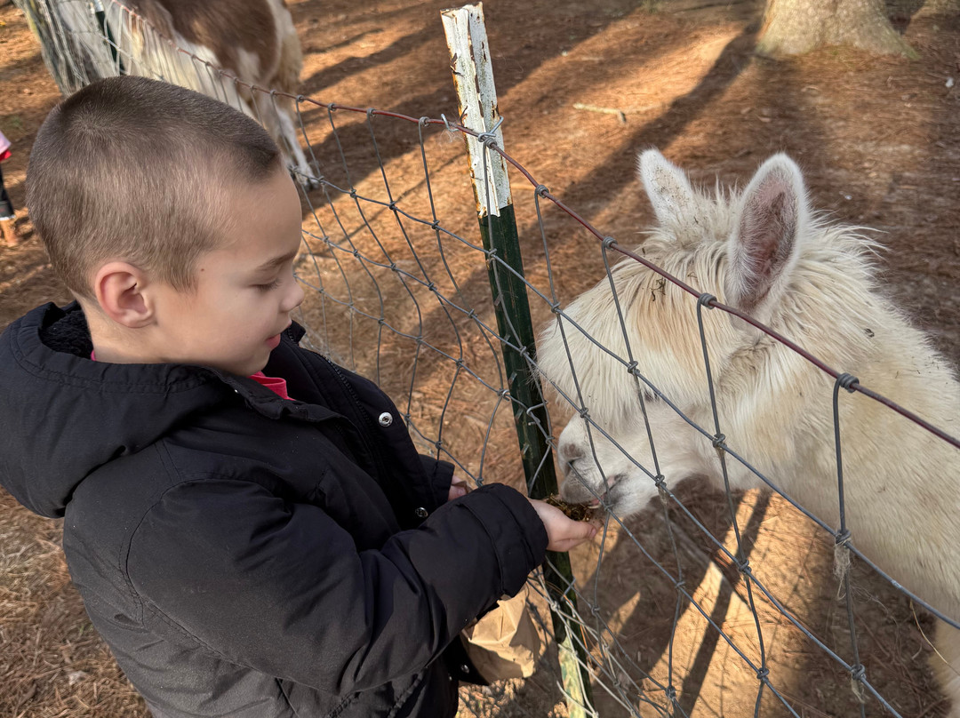 Redemptive Love Farm-Miccosukee必去景点