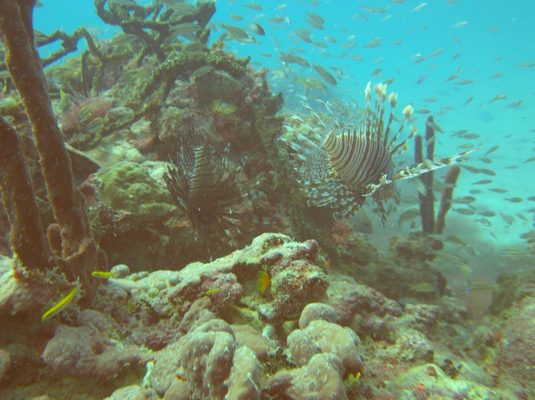 Seaklub la Romana-拉罗马纳必去景点