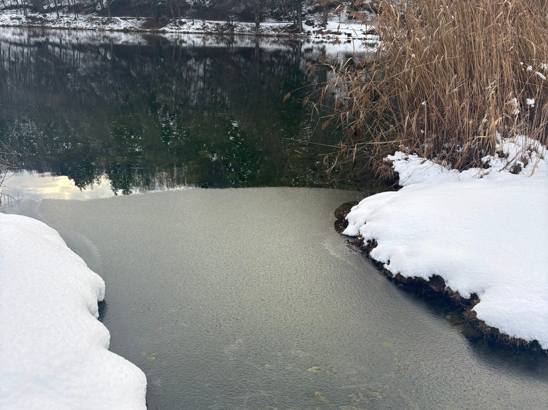Lago di Lavarone-Lavarone必去景点