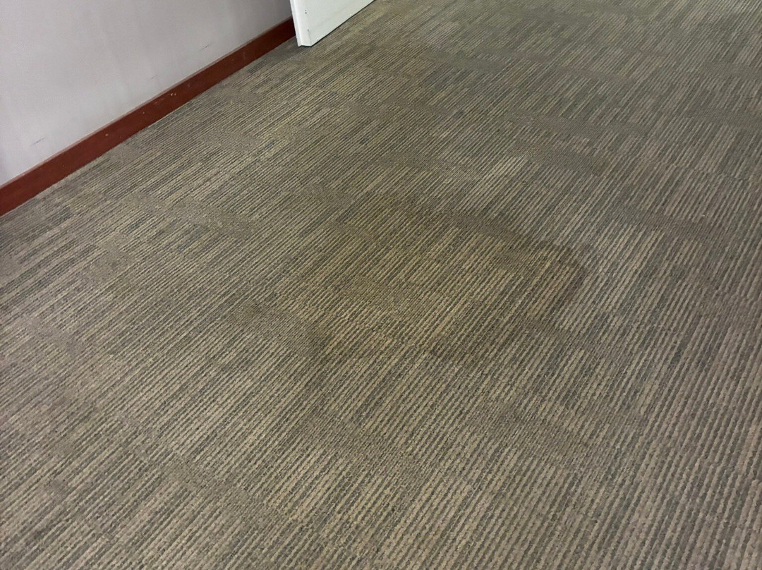 Hotel Ultonia Girona主图