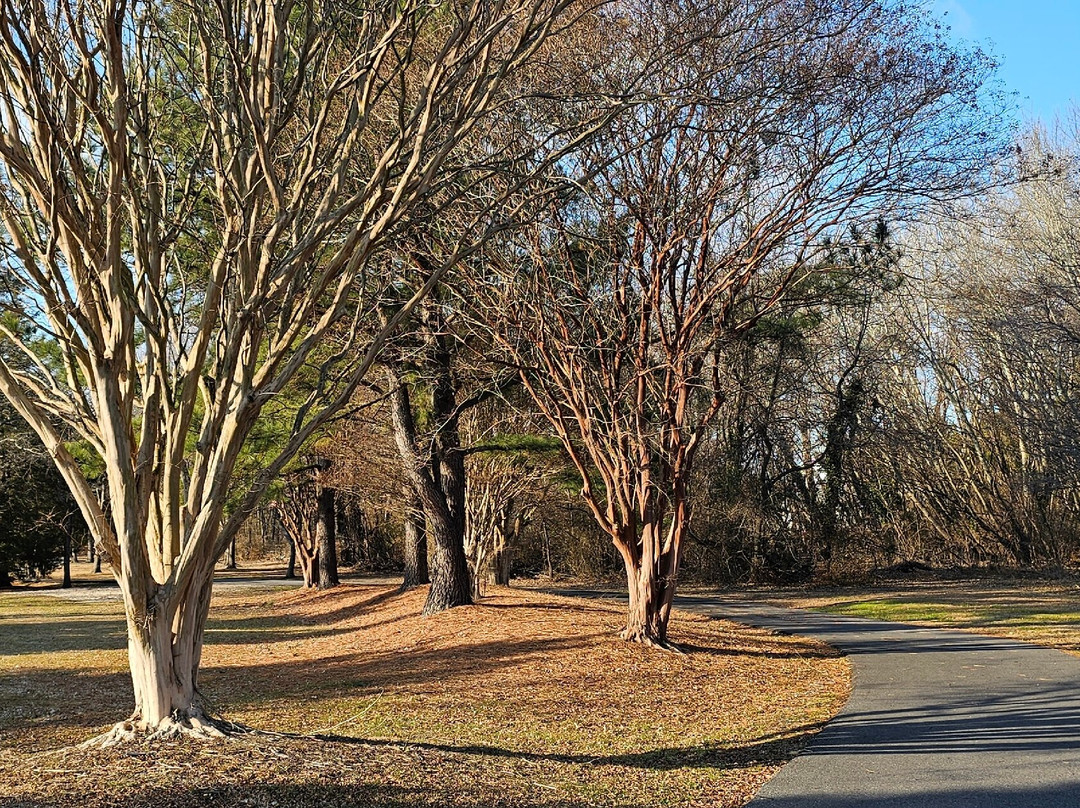 Long Point Park-Grasonville必去景点