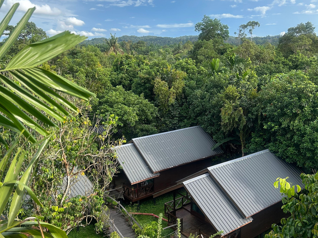 Borneo Sepilok Rainforest Resort主图