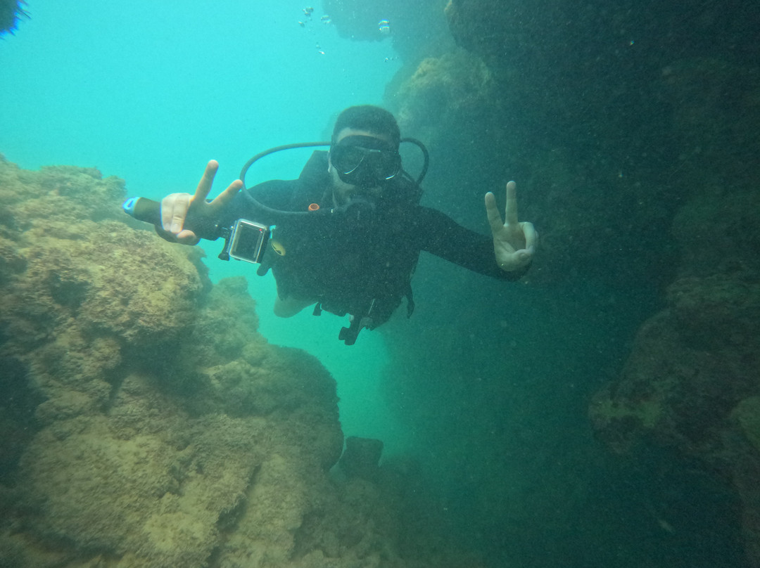 Deep Dive Adventures-嘎林海斯港必去景点