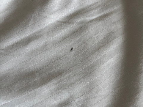 阿利特赌场酒店主图