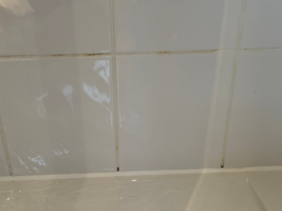 Brauereigasthof Hotel Aying主图