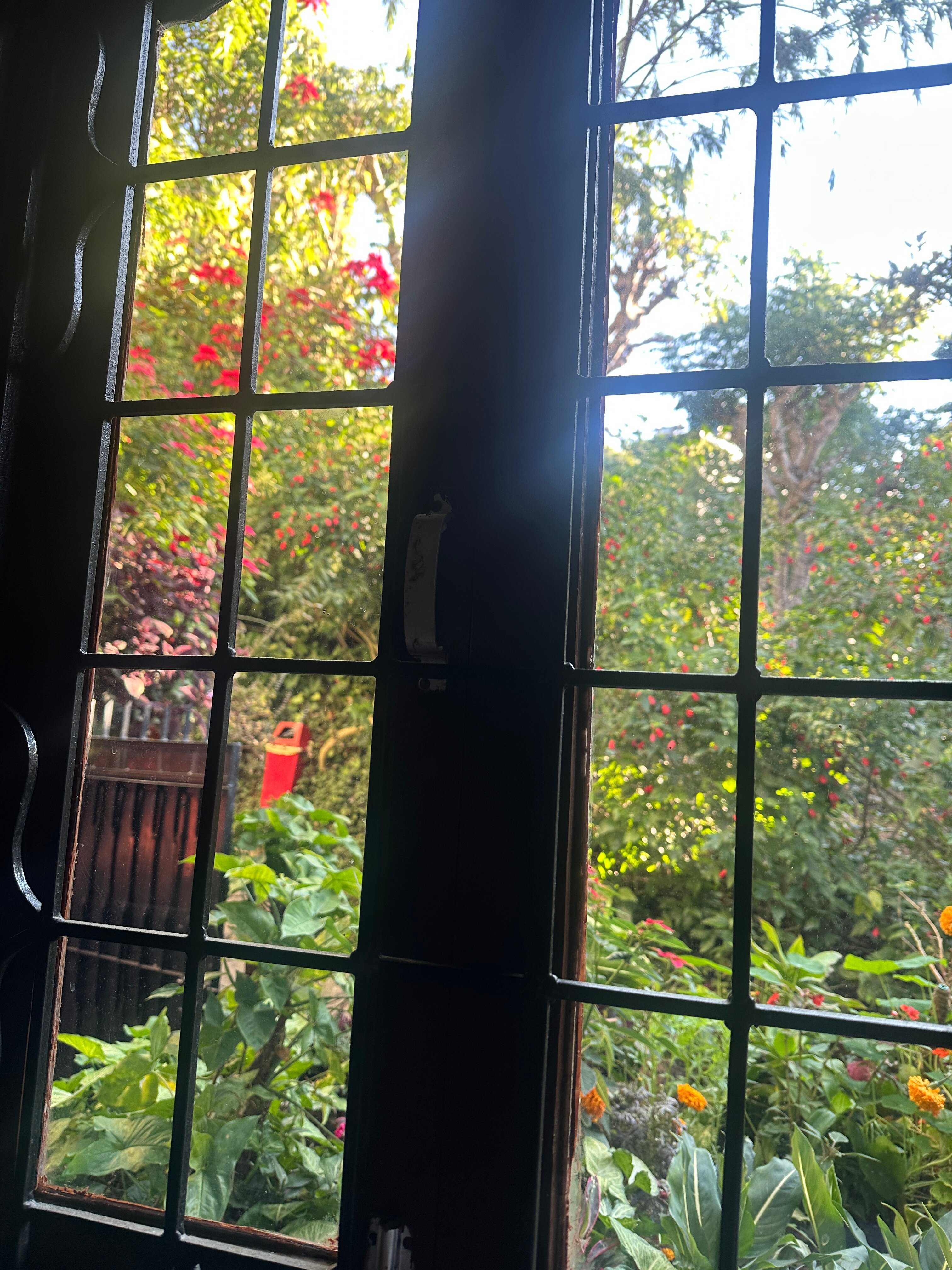 Horizon Homestay-官方