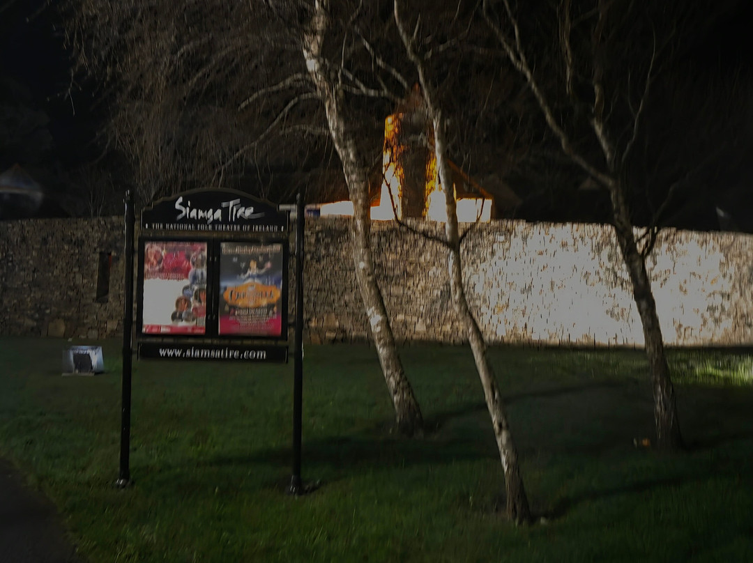 Siamsa Tire Theatre & Arts Centre-特拉利必去景点