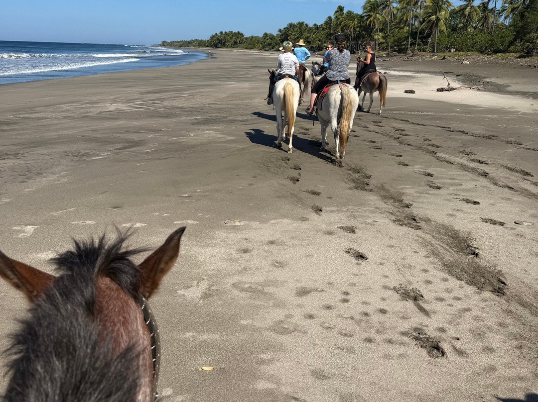 Estero Tours-轰基亚滩必去景点
