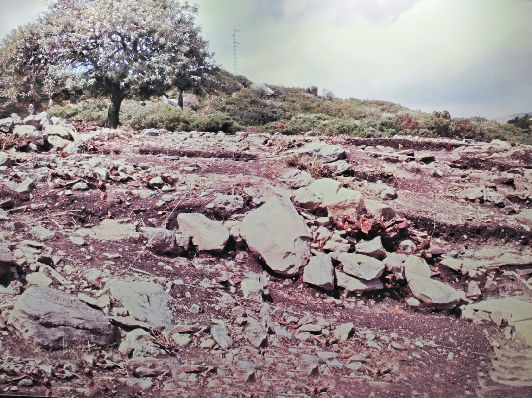 Dolmenes de Corominas-埃斯特波纳必去景点