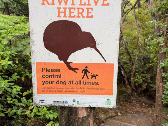 Rangikapiti Pa Historic Reserve-Coopers Beach必去景点