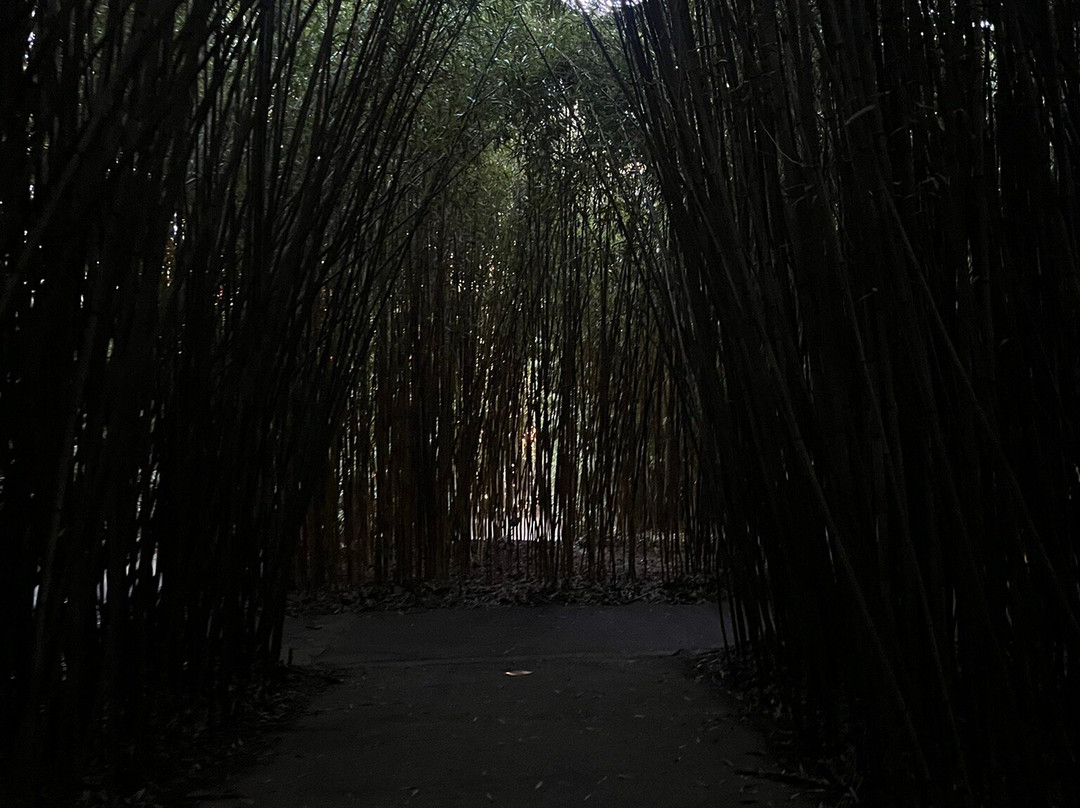 Labirinto Della Masone-丰塔内拉托必去景点