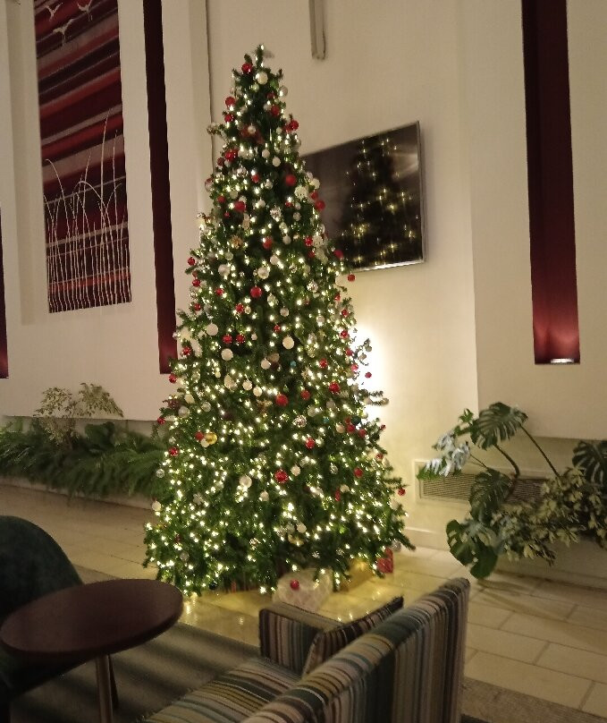 卡文水晶酒店主图