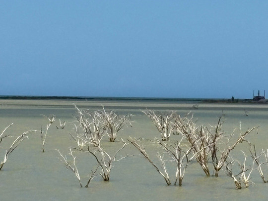 Kaishi Travel-Riohacha必去景点