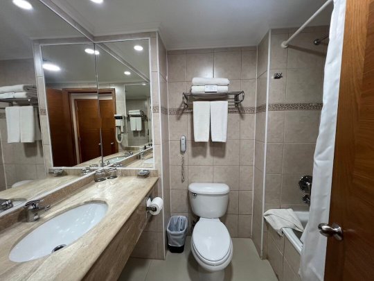 蓬塔阿雷纳斯圣迭戈德阿尔马格罗酒店-浴室